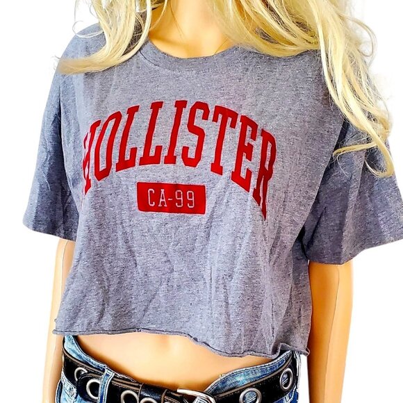 Hollister Crop Top Gray with Red Velvet-like Hollister Logo Medium - Picture 4 of 10